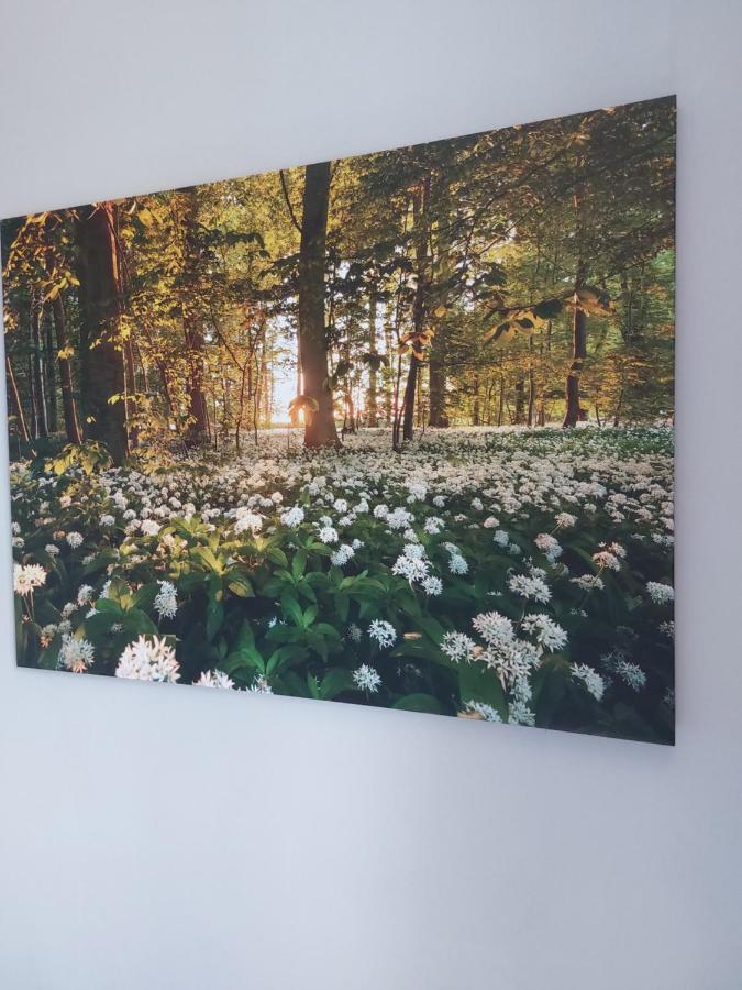 Bei Fiedels Apartment